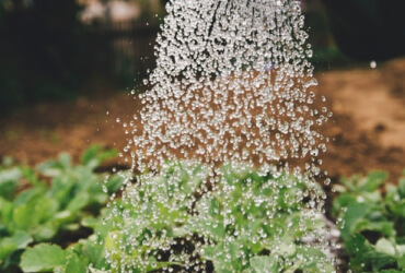 E825d619 Unsplash Sfydxgrt5oa
